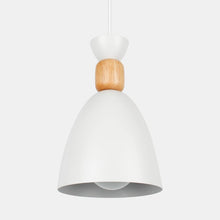 Load image into Gallery viewer, Nordic Pendant Lamp