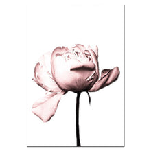 Load image into Gallery viewer, Peony Flower Wall Art Coco Print Fashion Art Poster